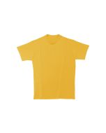 {{product.name}} - {{product.manufacturer}} - {{product.sku}}